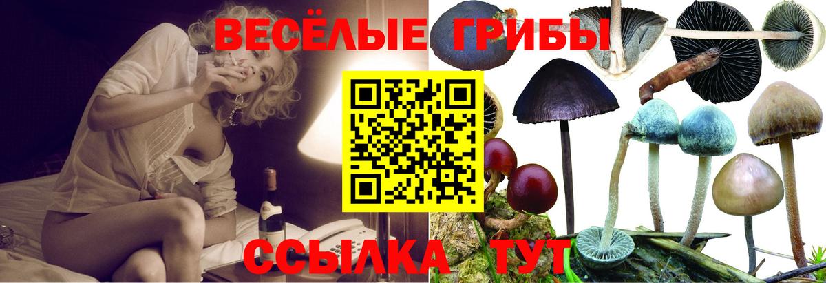 Бирск  Галлюциногенные грибы GOLDEN TEACHER  Вход с VPN 